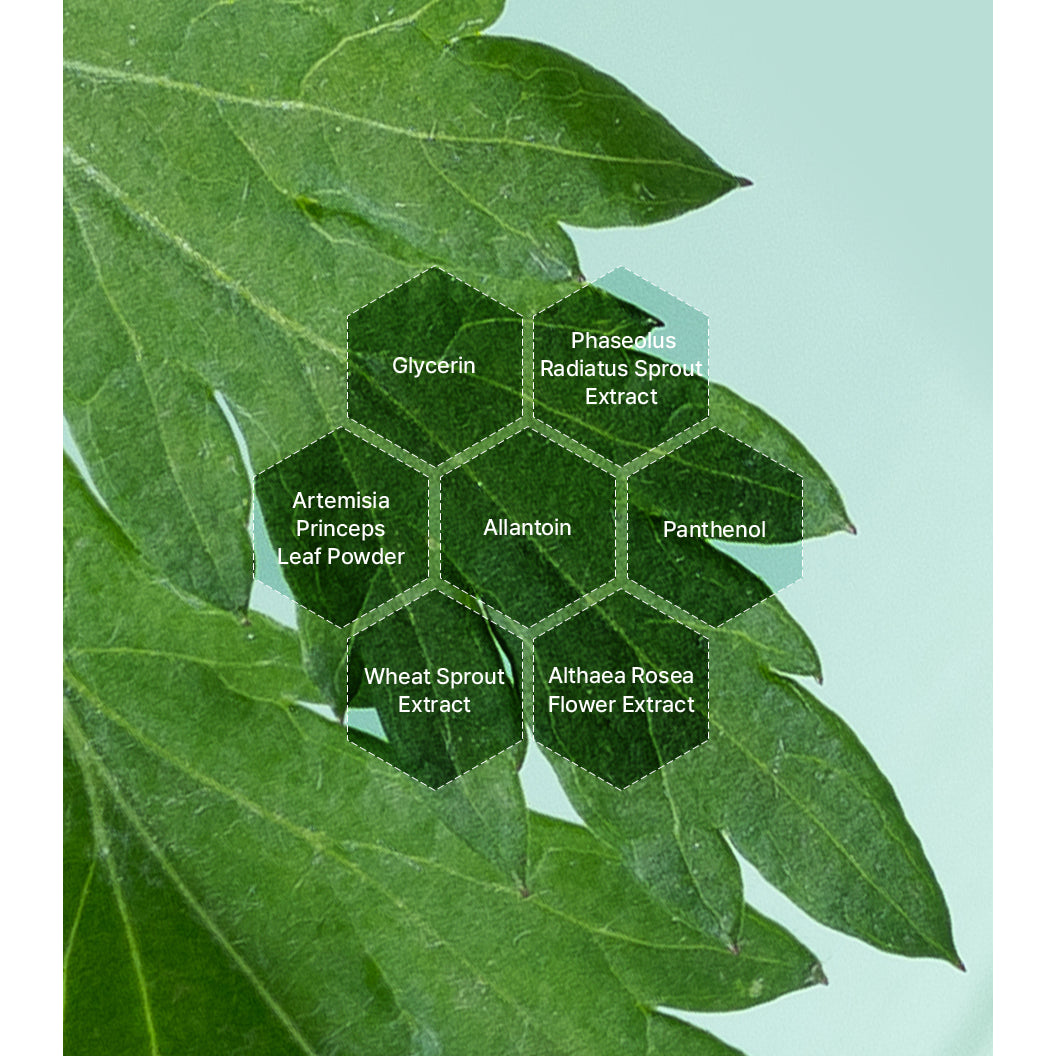 I'm From Mugwort Mask