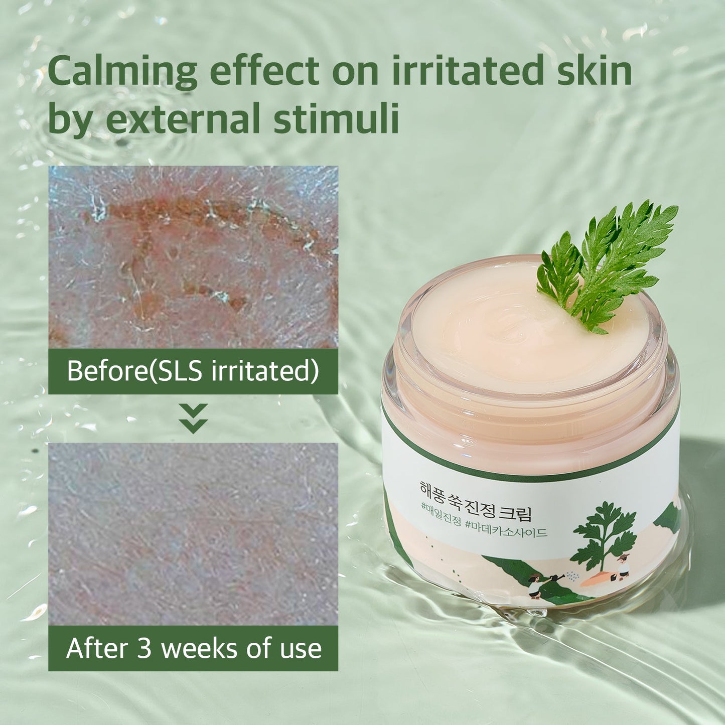 Round Lab Mugwort Calming Cream 80ml – bild 3